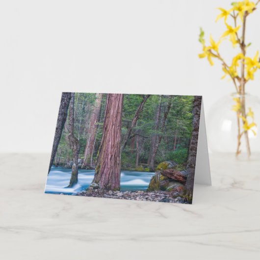 Nationaal Park Sequoias & Merced River Yosemite, C Kaart (Gele Bloem)
