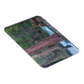 Nationaal Park Sequoias & Merced River Yosemite, C Magneet (Rechterzijde)