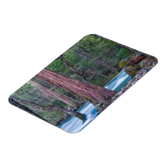 Nationaal Park Sequoias & Merced River Yosemite, C Magneet (Linkerzijde)