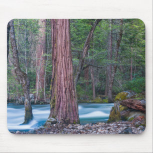 Nationaal Park Sequoias & Merced River Yosemite, C Muismat