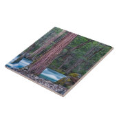 Nationaal Park Sequoias & Merced River Yosemite, C Tegeltje (Zijkant)