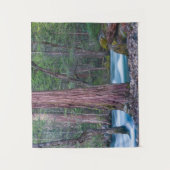 Nationaal Park Sequoias & Merced River Yosemite, C Wandkleed (Voorkant)