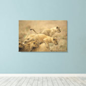 Nationaal Park Serengeti, Tanzania 2 Canvas Afdruk (Insitu (Houten vloer))