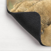 Nationaal Park Serengeti, Tanzania 2 Muismat (Hoek)