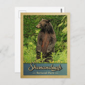Nationaal Park Shenandoah  Beer Briefkaart (Voorkant / Achterkant)