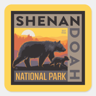 Nationaal park Shenandoah Mama Beer & welpen Vierkante Sticker