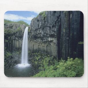 Nationaal park Skaftafell, waterval Svartifoss, Muismat