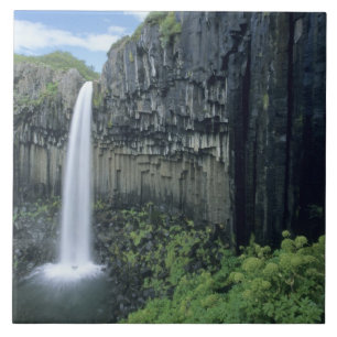 Nationaal park Skaftafell, waterval Svartifoss, Tegeltje