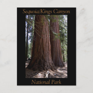 Nationaal Park Souvenir Sequoia Kings Canyon Briefkaart
