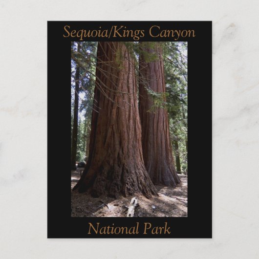 Nationaal Park Souvenir Sequoia Kings Canyon Briefkaart (Voorkant)