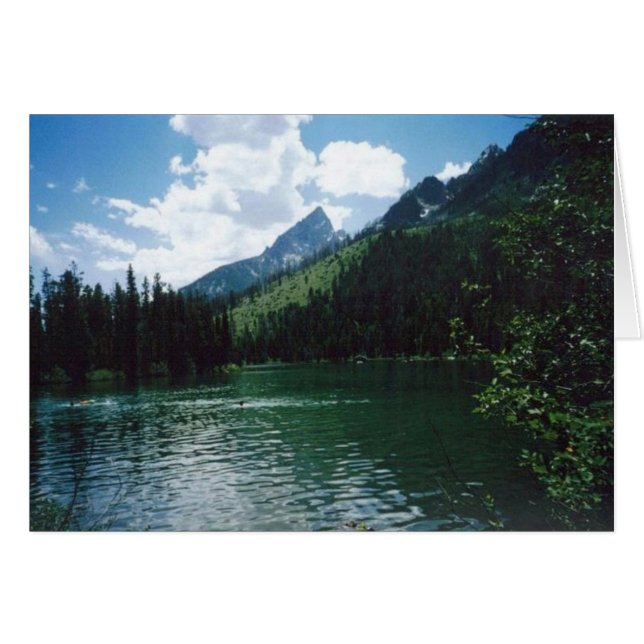 Nationaal park String Lake - Grand Teton (Voorkant Horizontaal)