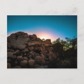Nationaal park Sunrise Joshua Tree Briefkaart (Voorkant)