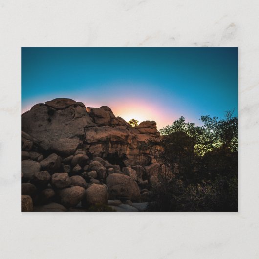 Nationaal park Sunrise Joshua Tree Briefkaart (Voorkant)