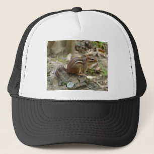 Nationaal Park Sweet Chipmunk Hot Springs Trucker Pet
