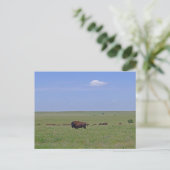 Nationaal park Tallgras Prairie - Kansas Briefkaart (Staand voorkant)