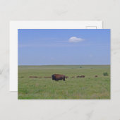 Nationaal park Tallgras Prairie - Kansas Briefkaart (Voorkant / Achterkant)