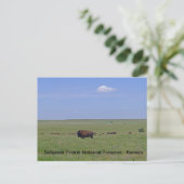 Nationaal park Tallgras Prairie - Kansas Briefkaart (Staand voorkant)