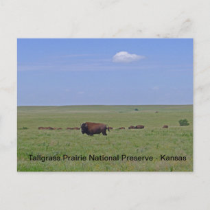 Nationaal park Tallgras Prairie - Kansas Briefkaart