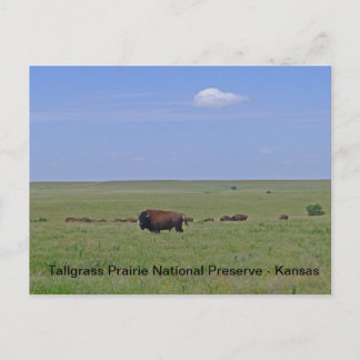 Nationaal park Tallgras Prairie - Kansas Briefkaart