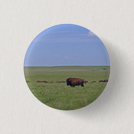 Nationaal park Tallgras Prairie - Kansas Ronde Button 3,2 Cm (Voorkant)