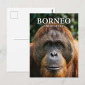 Nationaal park Tanjung Puting Indonesië Briefkaart (Voorkant / Achterkant)