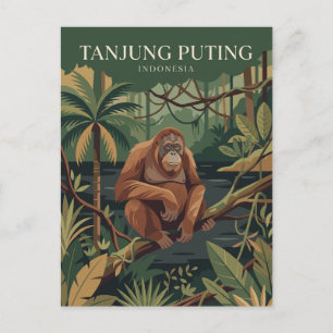 Nationaal park Tanjung Puting Indonesië Briefkaart
