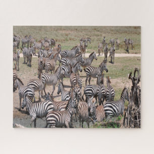Nationaal park Tanzania. Legpuzzel
