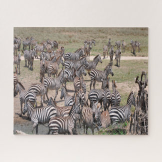 Nationaal park Tanzania. Legpuzzel
