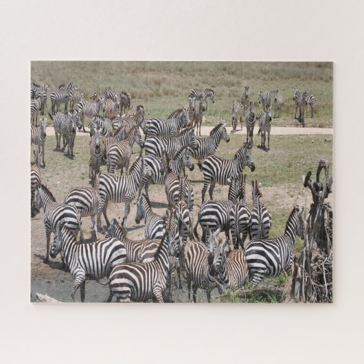 Nationaal Park Tanzania. Legpuzzel (Horizontaal)