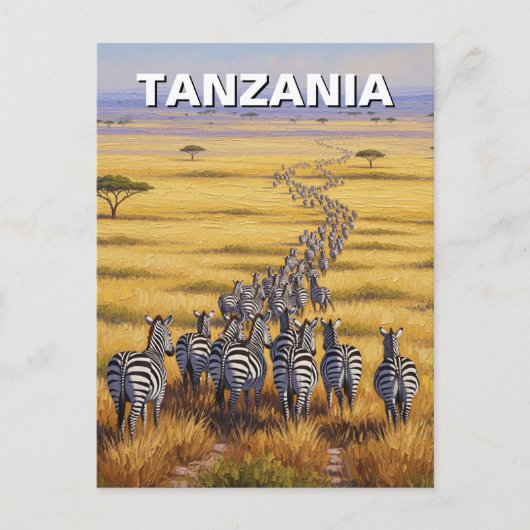 Nationaal park Tanzania Serengeti Zebra Briefkaart (Voorkant)