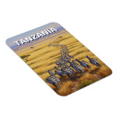 Nationaal park Tanzania Serengeti Zebra Magneet (Rechterzijde)