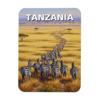 Nationaal park Tanzania Serengeti Zebra