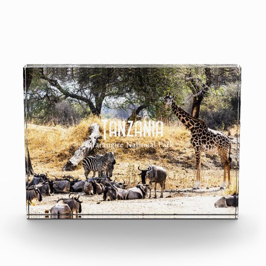 Nationaal park Tarangire Fotoblokken (Voorkant)
