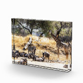 Nationaal park Tarangire Fotoblokken (Rechts)