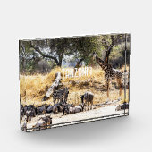Nationaal park Tarangire Fotoblokken (Links)