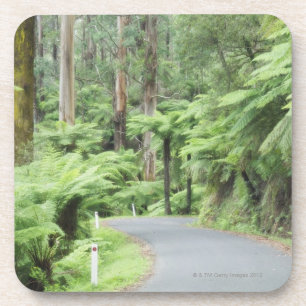 Nationaal park Tarra Bulga, Strzelecki Ranges Drankjes Onderzetter