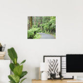 Nationaal park Tarra Bulga, Strzelecki Ranges Poster (Thuiskantoor)