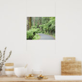 Nationaal park Tarra Bulga, Strzelecki Ranges Poster (Keuken)