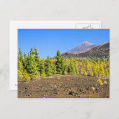 Nationaal park Teide in Tenerife Briefkaart (Voorkant / Achterkant)