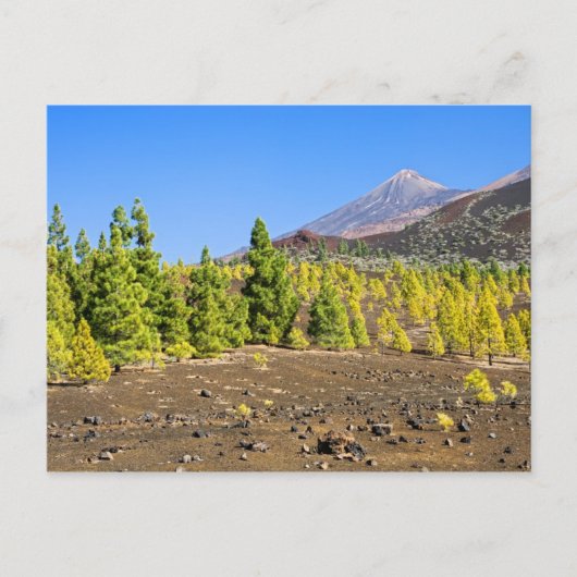 Nationaal park Teide in Tenerife Briefkaart (Voorkant)