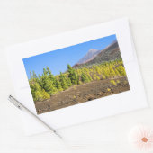 Nationaal Park Teide Landschap op Tenerife Rechthoekige Sticker (Envelop)