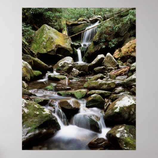 Nationaal park Tennessee, Great Smoky Mountains 2 Poster (Voorkant)