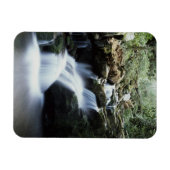 Nationaal park Tennessee, Great Smoky Mountains 3 Magneet (Horizontaal)