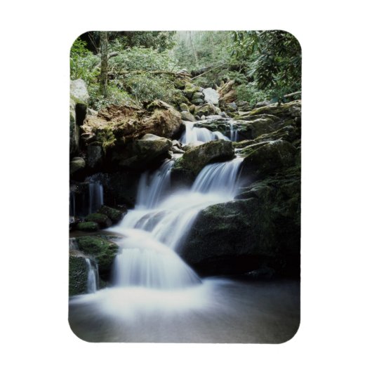 Nationaal park Tennessee, Great Smoky Mountains 3 Magneet (Verticaal)