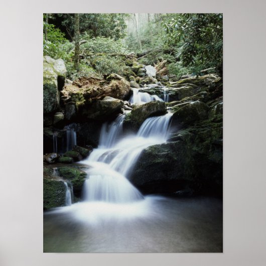 Nationaal park Tennessee, Great Smoky Mountains 3 Poster (Voorkant)