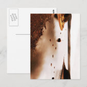 Nationaal park Terra Nova Briefkaart (Voorkant / Achterkant)