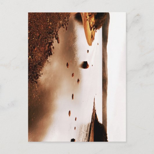 Nationaal park Terra Nova Briefkaart (Voorkant)