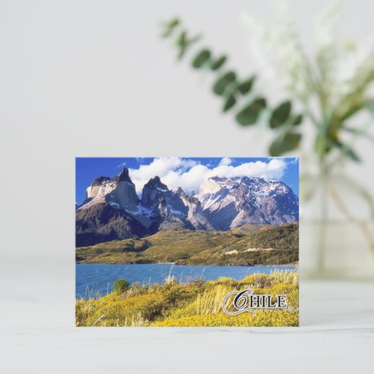 Nationaal Park Torres del Paine, Chili Briefkaart (Staand voorkant)