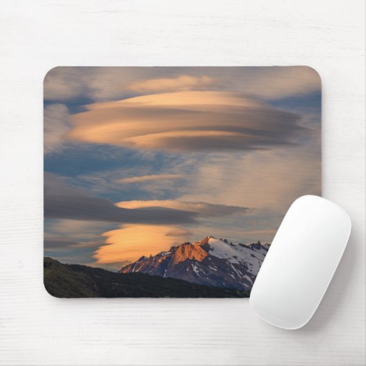 Nationaal Park Torres del Paine, Chili Muismat (Met muis)