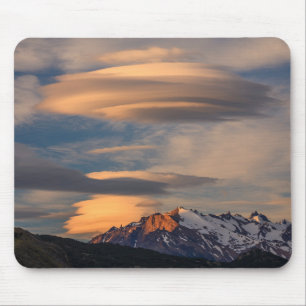 Nationaal Park Torres del Paine, Chili Muismat